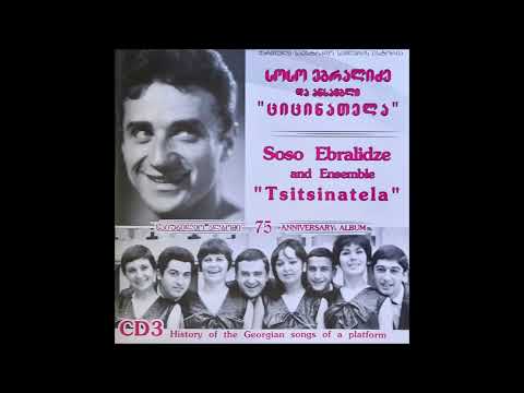 სოსო ებრალიძე \u0026 ანსამბლი \'ციცინათელა\' - თბილისის მეტრო (2011)